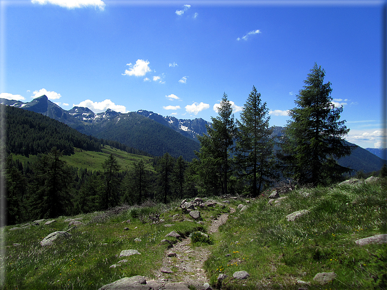 foto Malga Valsorda